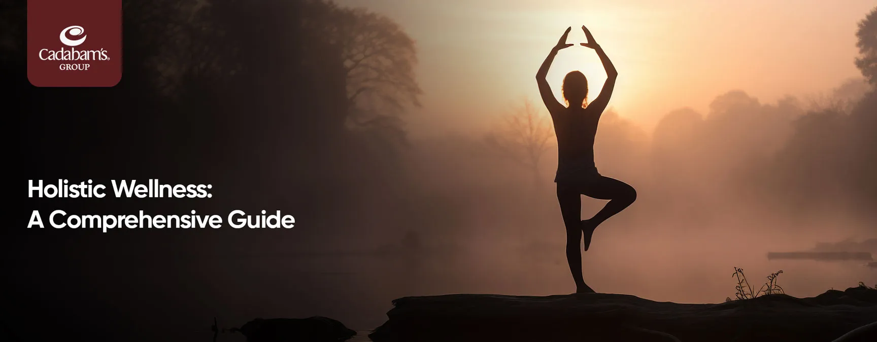 Holistic Wellness