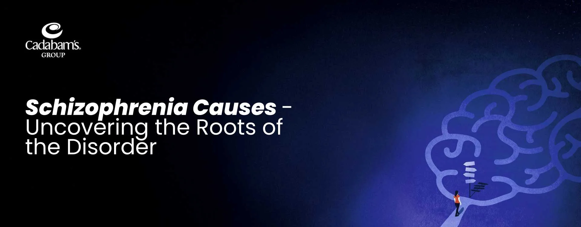 The Roots of Schizophrenia: A Comprehensive Look at Causes and Risks